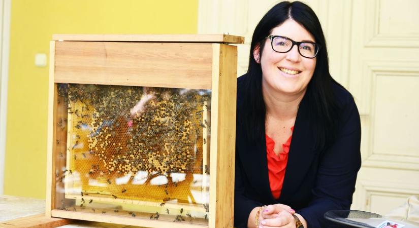 Nekünk sem lesz mit enni, ha ez bekövetkezik – figyelmeztetett a szakértő