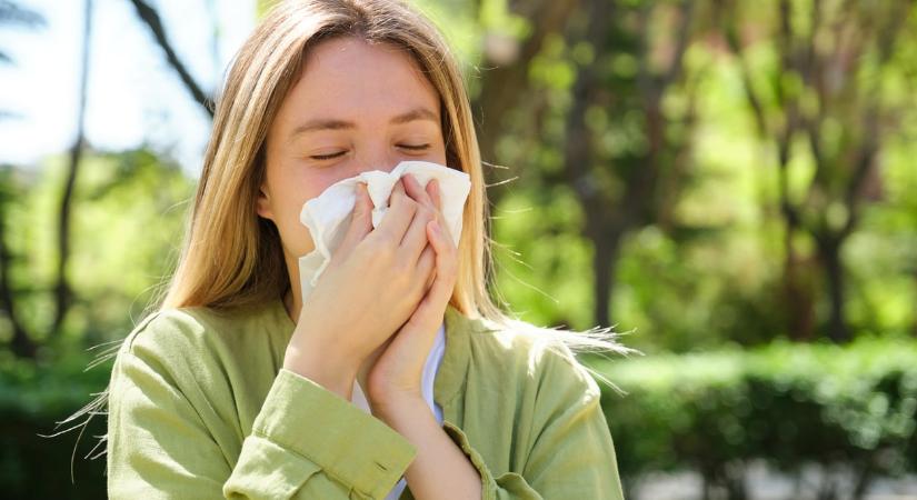 Ha évről évre rosszabb az allergiád, azt nem csak képzeled