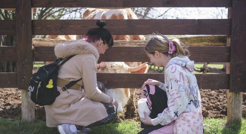 Elő a rövidnadrággal: durva meleg közelít Baranyába
