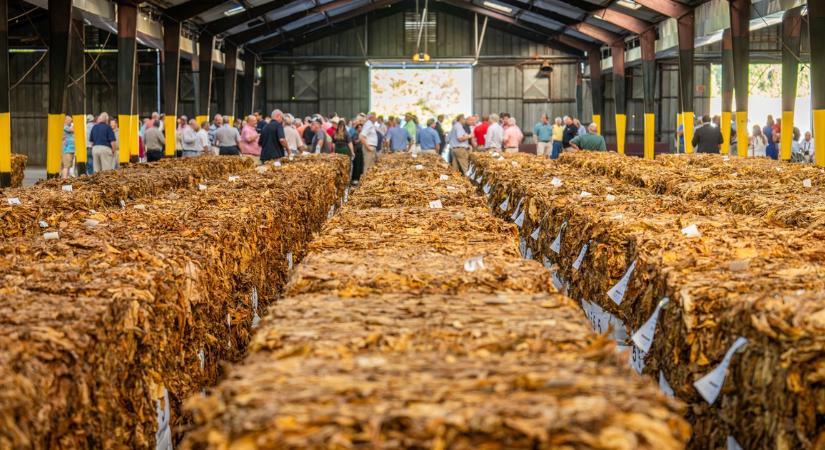 Öt tonna illegális dohányt fogott a NAV – totális KO a cigarettamaffiának