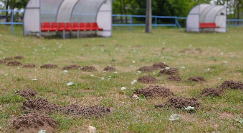 Már több csapatot is kizártak Hajdú-Biharban – a megszűnés szélére sodródott néhány klub?