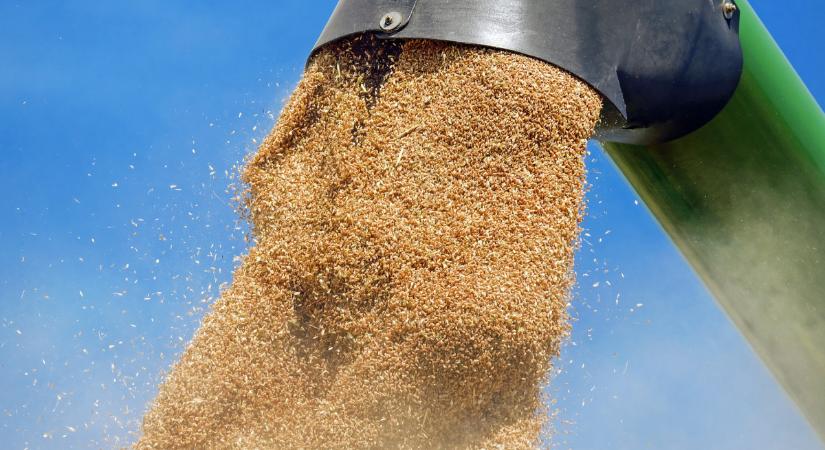 Újra él az ukrán agrárimport korlátozása