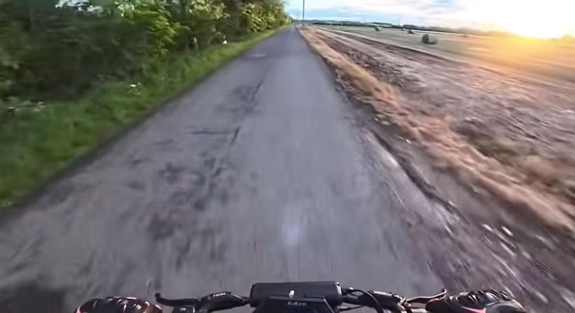 Nincs egyedül a rollerest letaroló nyúl, Falván kenguru futtatta meg a helyieket – videóval