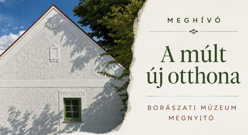 Borászati múzeum nyílik Balatonakaliban