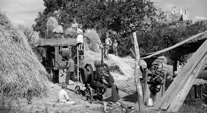 Bakonyi időutazás – Így dolgoztak 77 éve a híres várrom lábánál (képgaléria)