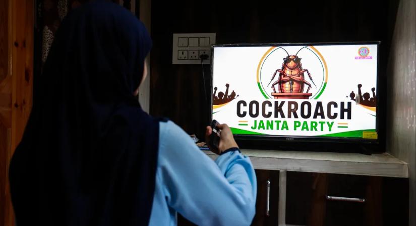 Indiában jön fel a Csótány Néppárt