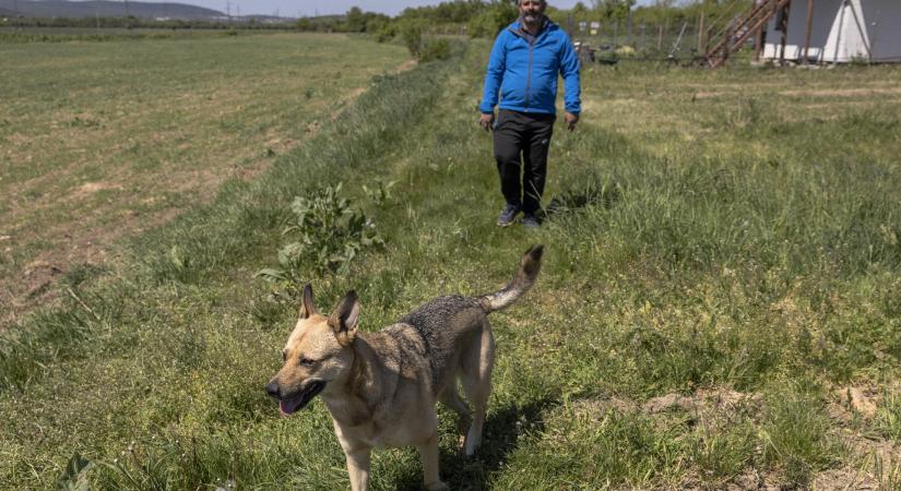Hogyan menthette meg Etelka, a mentett kutya gazdája életét?