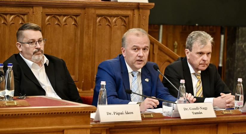 Bepereli Magyar Pétert Gaudi-Nagy Tamás, az ügyben Schiffer András képviseli majd
