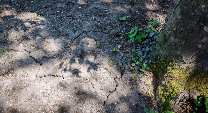 Hogyan lehet több csapadékot helyben tartani Magyarországon?