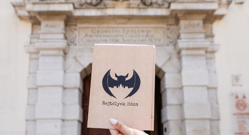 Detektívek nyomoztak szerte Győr utcáin