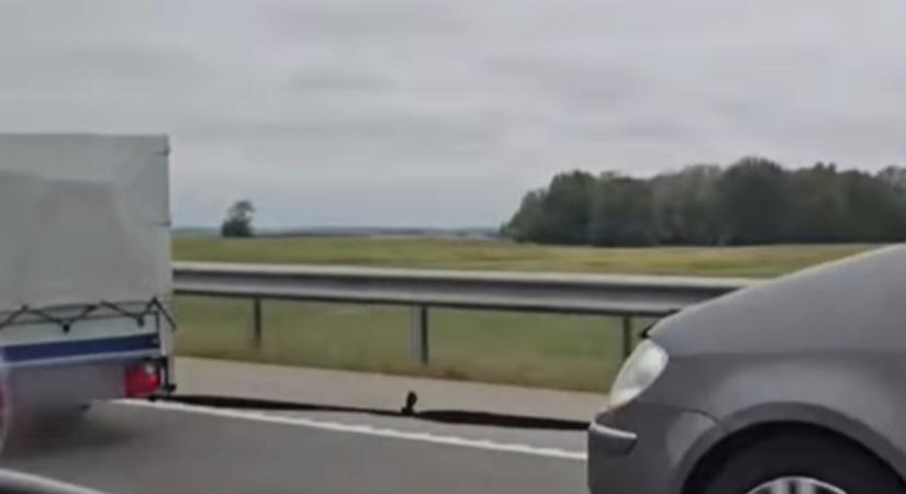 Horrorra akadva, avagy nem így kell a biztonsági övet használni! (videó)