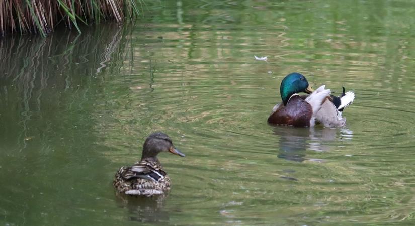 Marad a napos idő – de a 30 fok közeli hőmérséklettel ne csábítson könnyelműségre