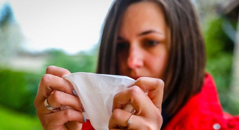 Végre fellélegezhetnek az allergiások? Meglepő fordulat a pollenszezonban!