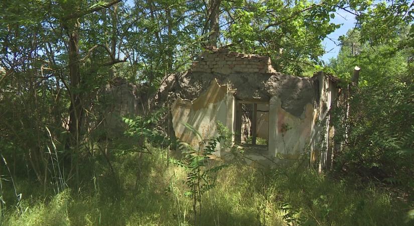 Halálra éheztethették beteg fiukat, borzasztó kínok között halhatott meg