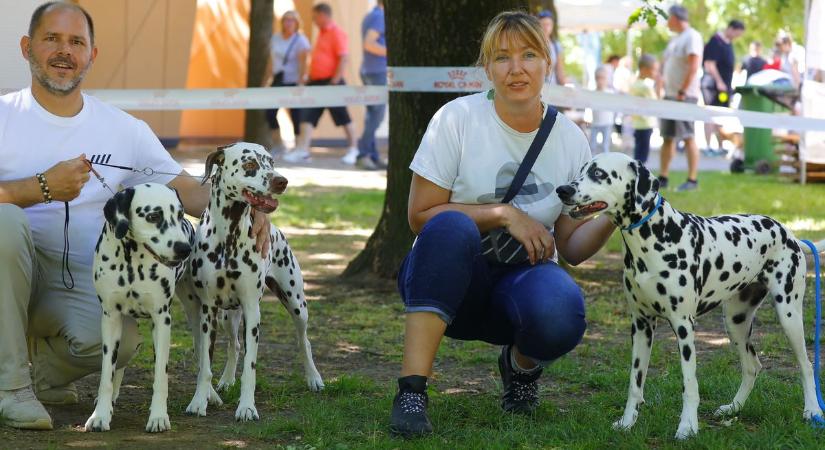 A legszebb, legügyesebb kutyák vették birtokba egy napra Hajdúszoboszló parkját – fotókkal, videóval
