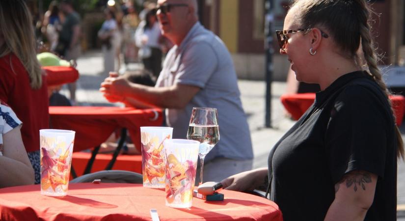 A Soproni Borünnep kicsiknek és nagyoknak is tartogatott élményeket szombaton - fotók