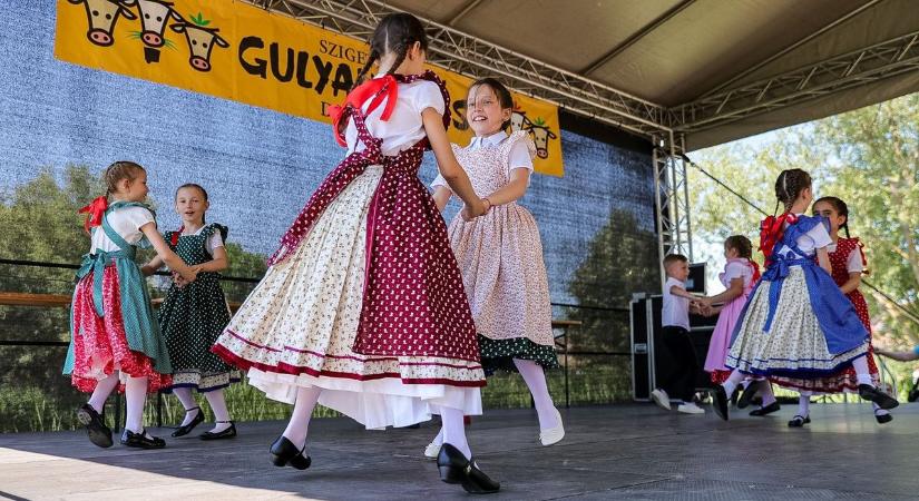 Ne maradj le semmiről! Ezek voltak a szombat legfontosabb hírei Győr-Moson-Sopronban