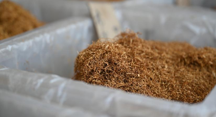 420 millió forintnyi dohány füstölt el
