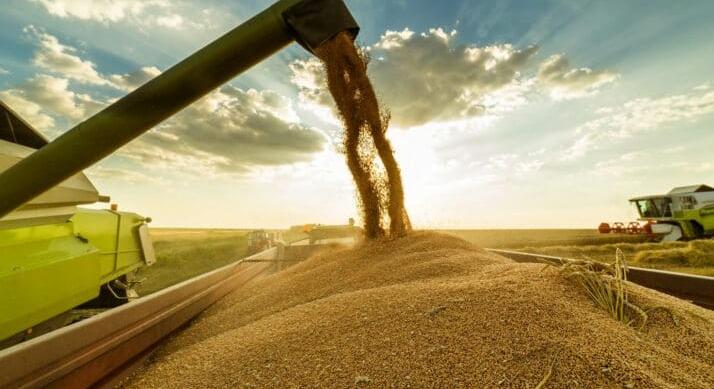 Nem kerülhetnek magyar piacra – Megjelent a lista a tiltott ukrán agrártermékekről