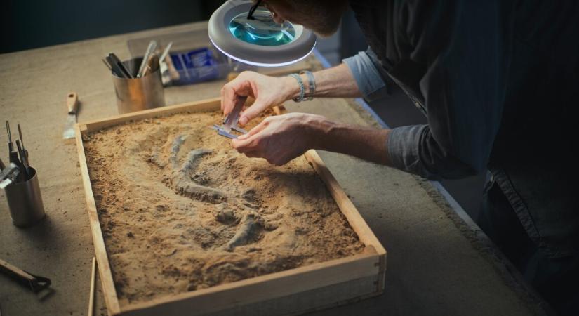 72 millió éves dinoszaurusztojásokat találtak – óriási felfedezés