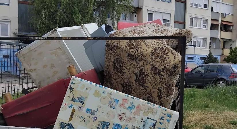Olyat látott a szolnoki képviselő az utcasarkon, ami kiverte nála a biztosítékot