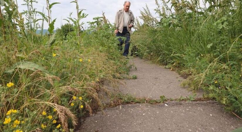 Elegük van a pécsieknek: veszélyes járdákra és kaotikus postákra panaszkodnak