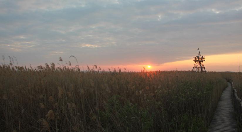 Civil térfoglalás a Balaton-parton: titkos strandok, lépcsők és kilátók