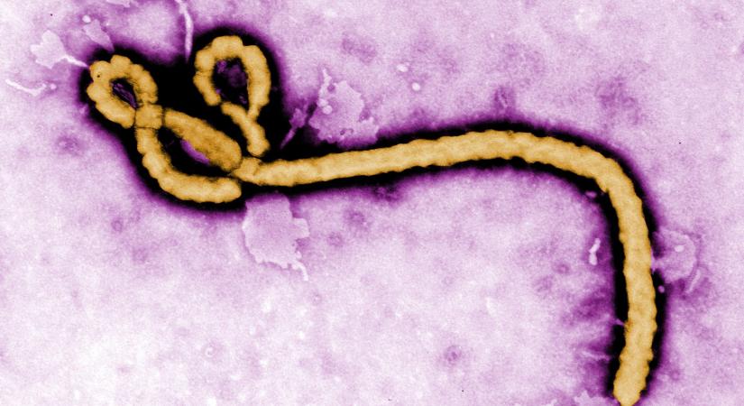 Az ebola és a vakcinák