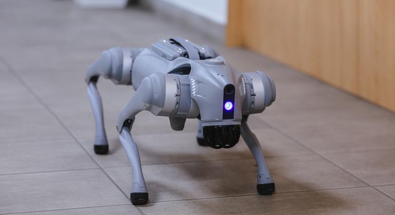 „Mi nem várunk a jövőre, hanem építjük azt” – robotkutyával pacsiztak a Gábor Dénes Egyetemen