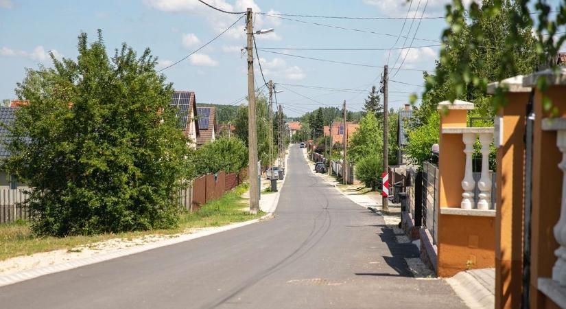Óriási rovarok jelentek meg a hajdú-bihari településen, megijedtek a lakók – fotóval, videókkal!