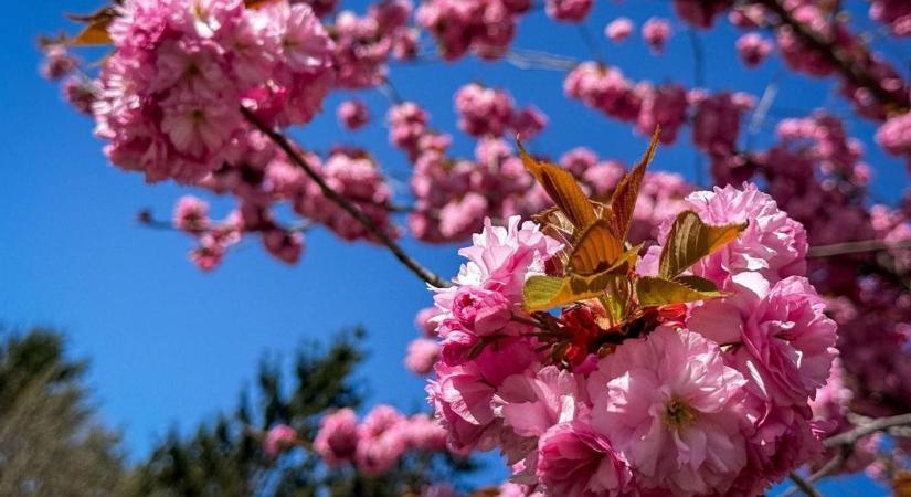 Tovább fokozódik a meleg – pünkösdvasárnap szinte nyári kánikula jöhet