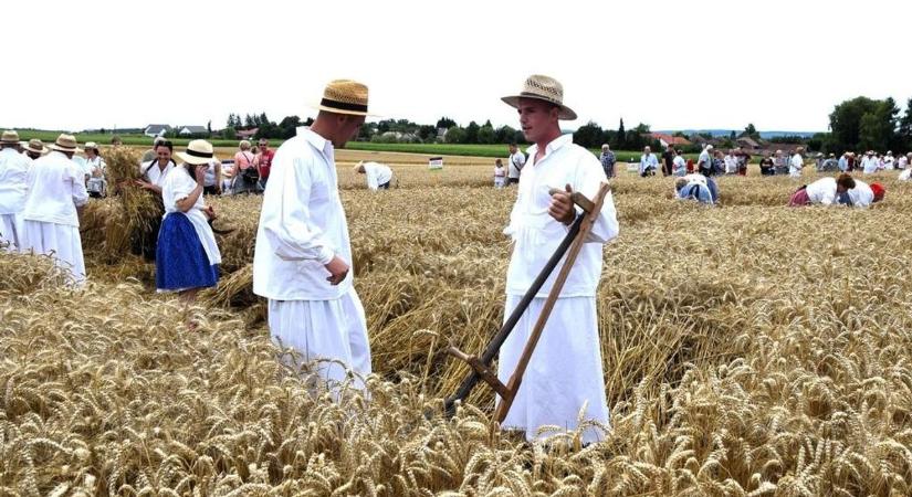 Melyik lesz Zala legjobb aratóbandája? Megkezdődött a nevezés a novai megmérettetésre