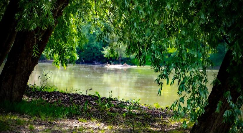 Mesébe illő képek érkeztek Tivadarból – a Tisza-part most mindenkit elvarázsol