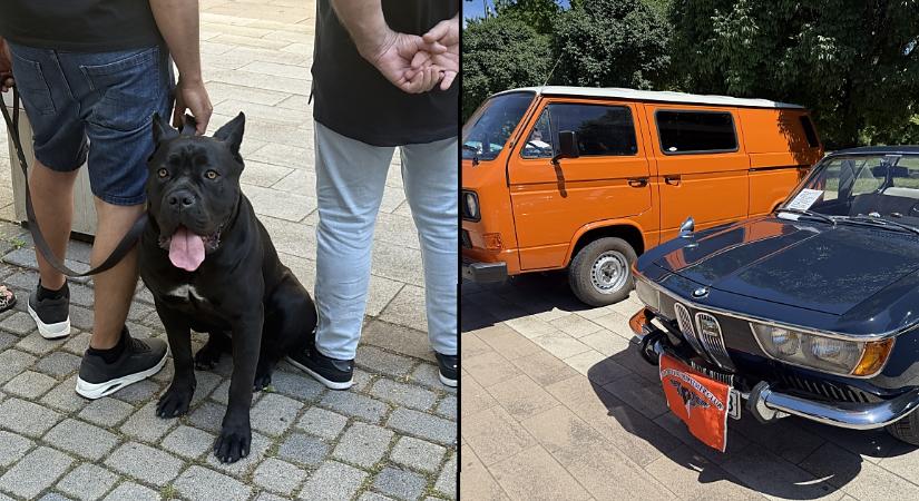 Két láb, négy kerék, négy láb, két kerék: blökik és veterán gépek lepték el Hajdúszoboszlót – fotókkal, videóval
