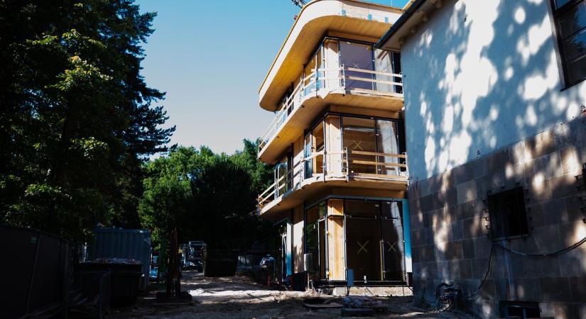 A beton helyére léphet a fa? Ezt mondja a Soproni Egyetem rektorhelyettese
