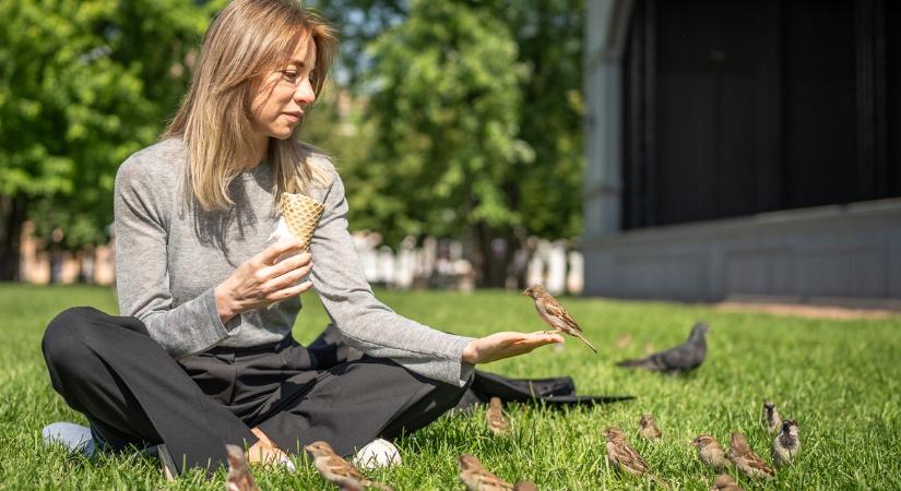 Elmenekülnek ezek a madarak, ha nők közelednek feléjük: a kutatókat is sokkolta az ok