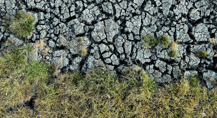 Katasztrofális nyár elé nézünk: rosszabb lesz a szuper El Niño, mint azt eddig hitték