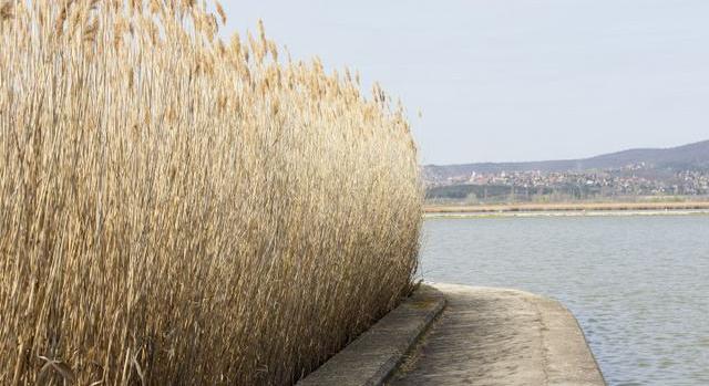 67 centiméterre apadt a magyar tó – a turizmus is megszenvedheti