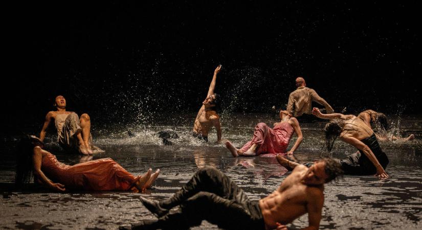 Engem nem az érdekel, hogyan mozognak az emberek, hanem az, hogy mi mozgatja őket – Pina Bausch táncművészete