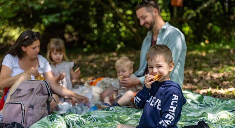 Élmény haletetéssel vártak mindenkit az Agostyáni Arborétumban