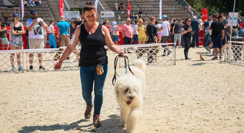 Kutyák kavalkádja a lipicai stadionban - fotókkal