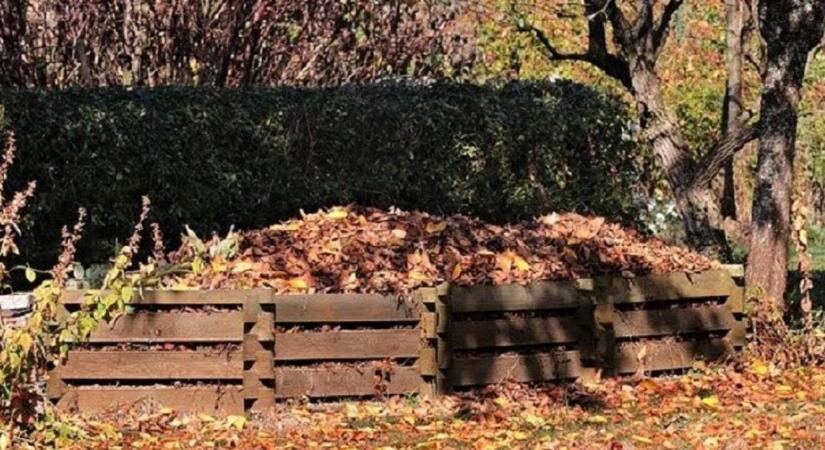 Ezért büdös a komposzt – és így hozhatod helyre minél gyorsabban!