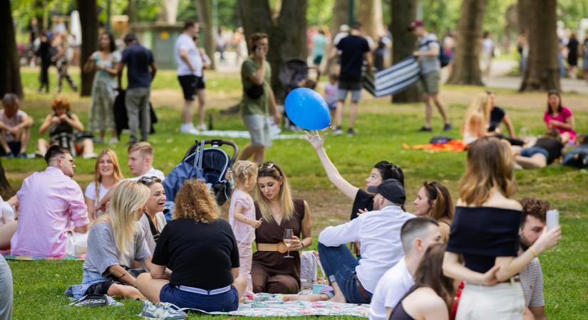 Rosalia Borpiknik: óriás nyárindító kerti parti a Ligetben