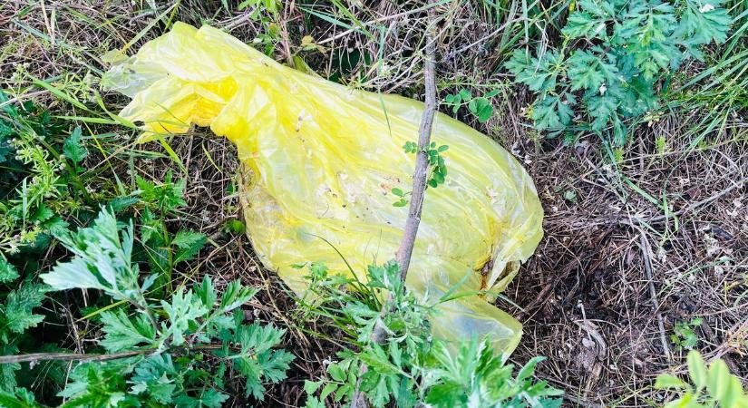 Valami bűzlik az egyik zalai falu mellett – orrfacsaró szag terjeng a határban