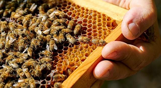 Sorra szűnnek meg ezek a magyar vállalkozások: uniós szinten is látszik, mekkora a baj