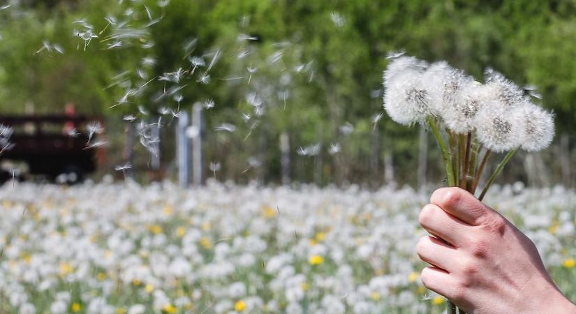 Most még tombol a nyárias időjárás, de valami közeleg Baranya felé