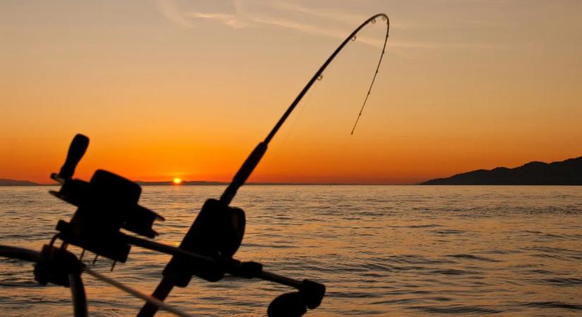 Meglepő fordulat a Balatonnál: a nyaralók helyett már ezt vadásszák a vevők