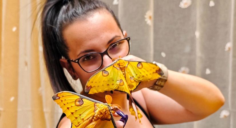 Pillangó kisasszony: Debrecenben tanítja a gyerekeket a lepkék életéről