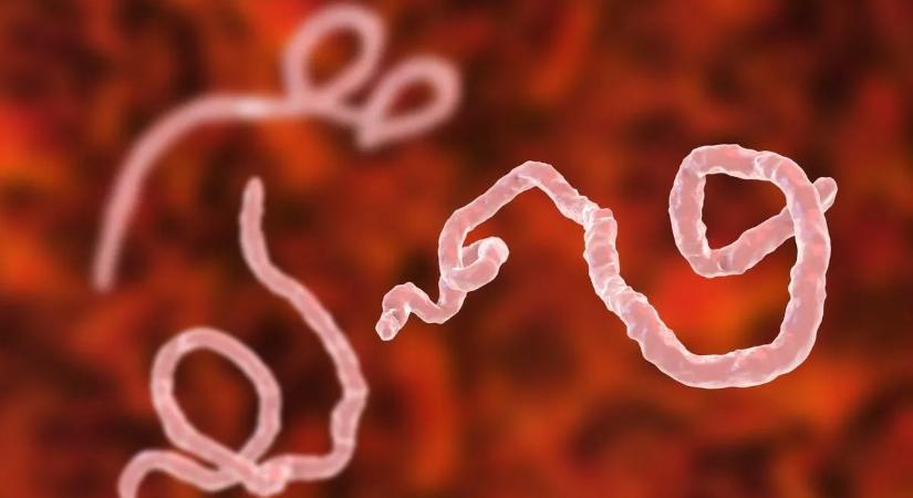 Az ebolakötvényt már eltemették – máshogyan kell pénzt szerezni a halálos járvány ellen