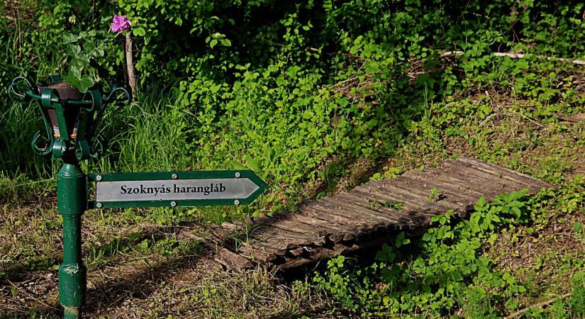 Elhallgatott, eltűnt, majd újra megszólalt – százéves lett a zalai falu fontos jelképe (galéria)